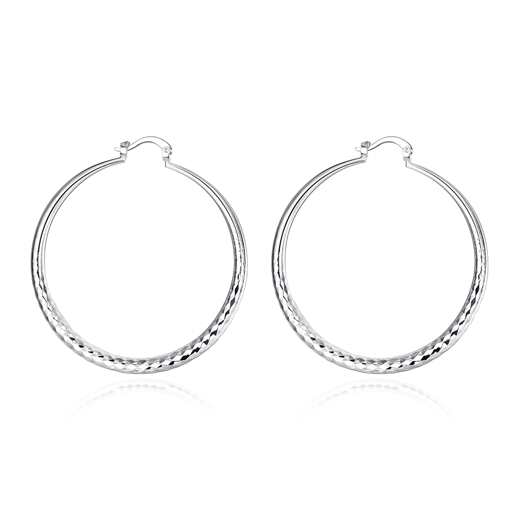 Sleek Classic Earrings