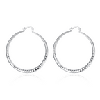Sleek Classic Earrings